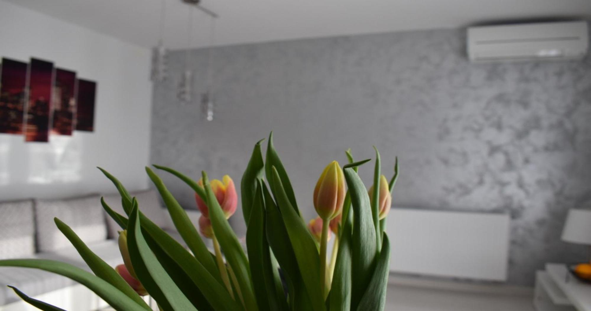 Apartmani Foresta Kras Екстериор снимка