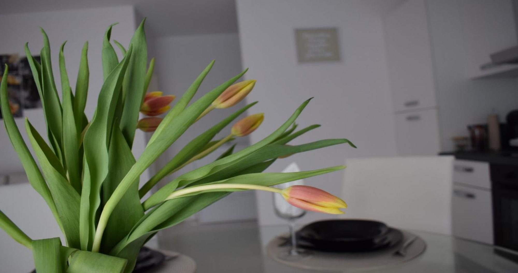 Apartmani Foresta Kras Екстериор снимка