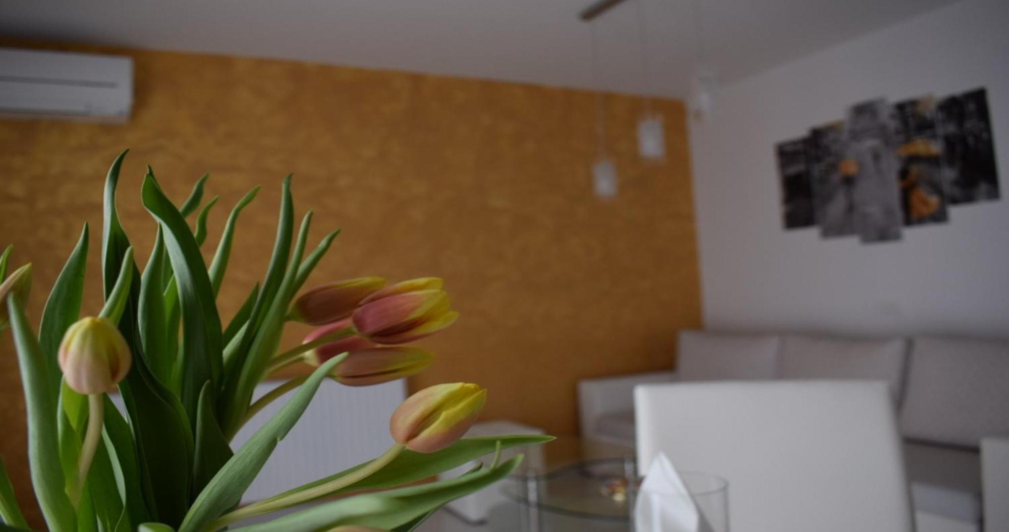Apartmani Foresta Kras Екстериор снимка